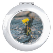 Resilient Dandelion Compact Pocket Mirror