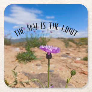 Resilient Purple Desert Flower Blossom Square Paper Coaster
