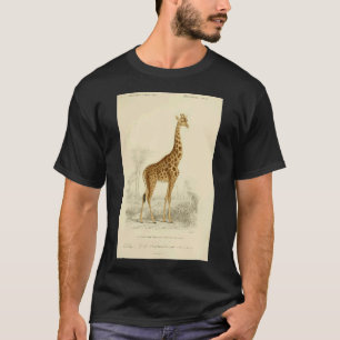 Resist Art Nouveau Mucha Inspired Feminist T-Shirt