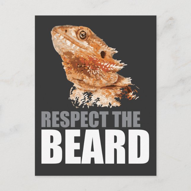Respect The Beard Funny Bearded Dragon Postcard (Front)