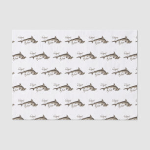 Respect the Locals Hammerhead Shark Funny Quote Tissue Paper