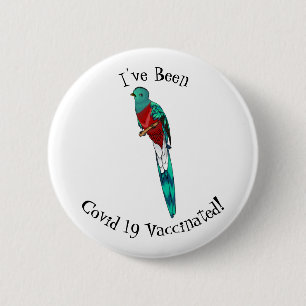Resplendent quetzal bird cartoon illustration  6 cm round badge