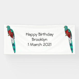 Resplendent quetzal bird cartoon illustration banner