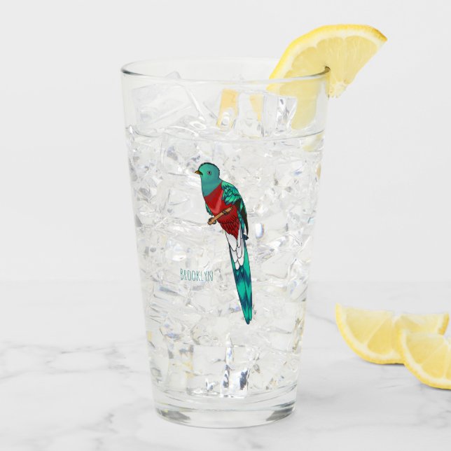 Resplendent quetzal bird cartoon illustration glass (Back Ice)