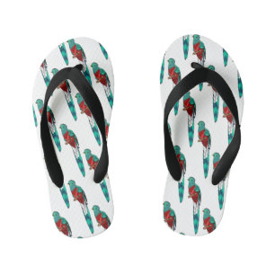 Resplendent quetzal bird cartoon illustration kid's jandals