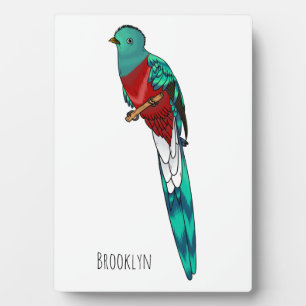 Resplendent quetzal bird cartoon illustration plaque