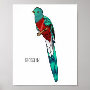 Resplendent quetzal bird cartoon illustration poster