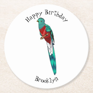 Resplendent quetzal bird cartoon illustration round paper coaster