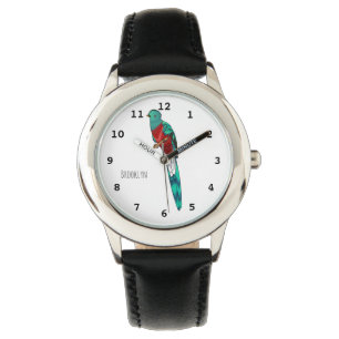 Resplendent quetzal bird cartoon illustration watch
