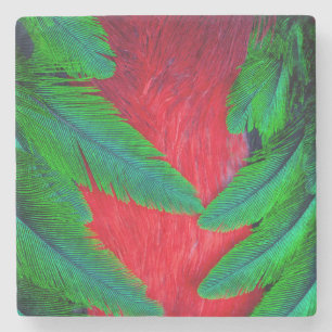 Resplendent Quetzal feather design Stone Coaster