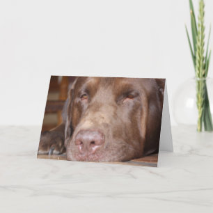 Rest and get well card