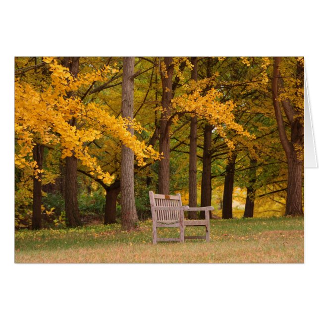 Rest For Awhile (Front Horizontal)