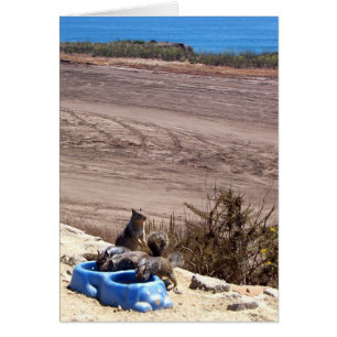 Rest Stop - Card