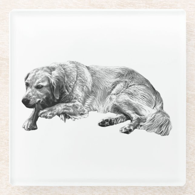 Restful Dog Coaster Makes Gatherings Warm And Rela (Front)
