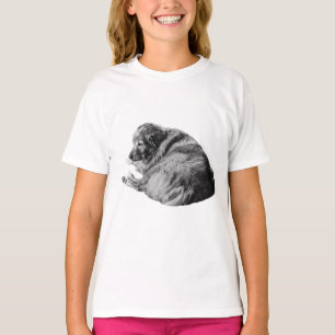 Restful Winter Dog Shares Comfort in Soft Shading T-Shirt