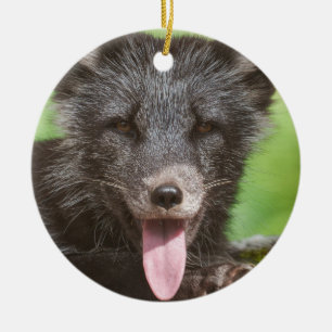 Resting Arctic Fox Ceramic Tree Decoration