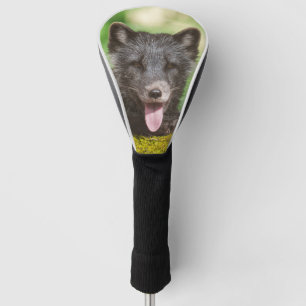 Resting Arctic Fox Golf Head Cover