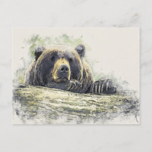 Resting Bear Watercolor Illustration Postcard