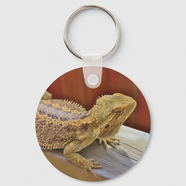 Resting Bearded Dragon 2 Key Ring (Front)