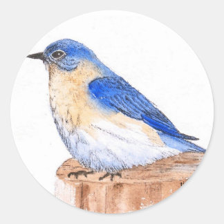 Resting Bluebird Classic Round Sticker
