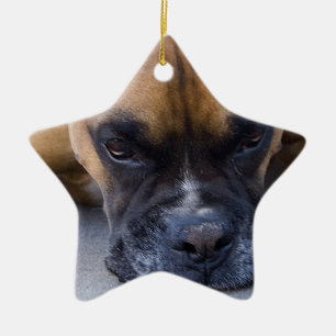 Resting Boxer Dog Ornament