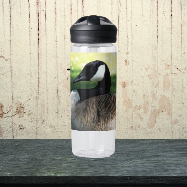 Resting Canada Goose Wildlife Photo Water Bottle (In Situ Table)