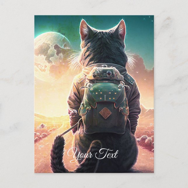 Resting cat.  postcard (Front)