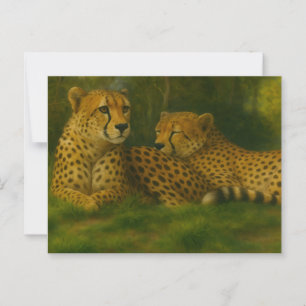 Resting Cheetah Duo in Forest Setting Postcard