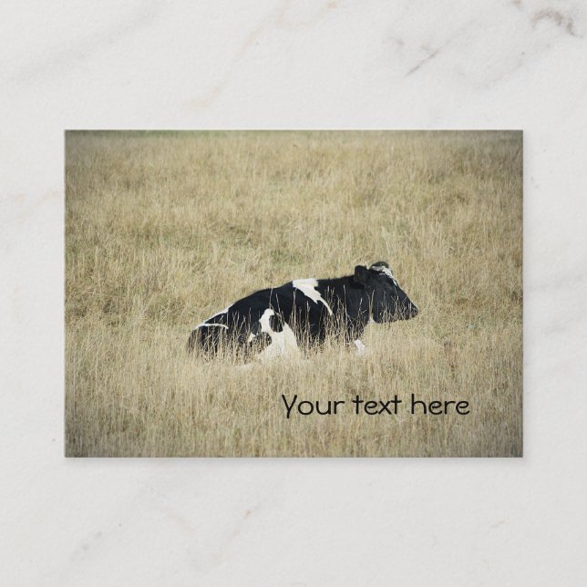 Resting Cow - Business Card (Front)