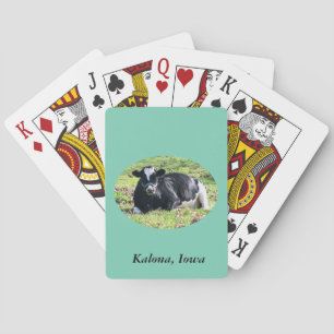 Resting Dairy Cow, Kalona, Iowa Playing Cards