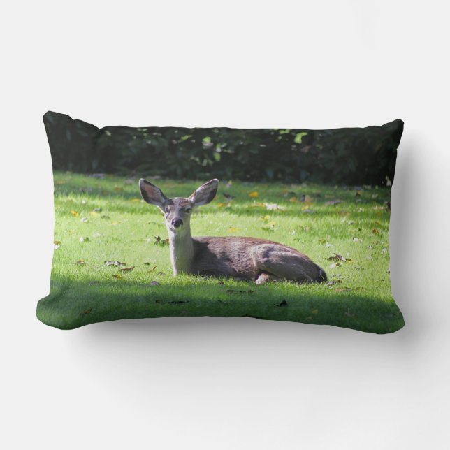 Resting Deer on Lawn Lumbar Pillow (Front)