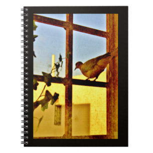 Resting Dove Notebook