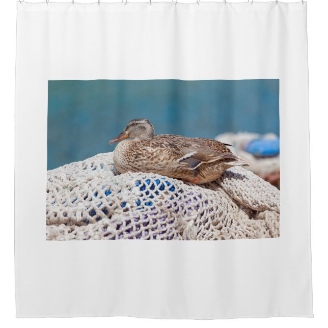Resting Duck Shower Curtain (Front)