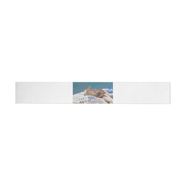 Resting Duck Wraparound Address Label (Individual)