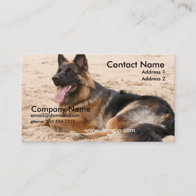 Resting German Shepherd Business Card (Front)