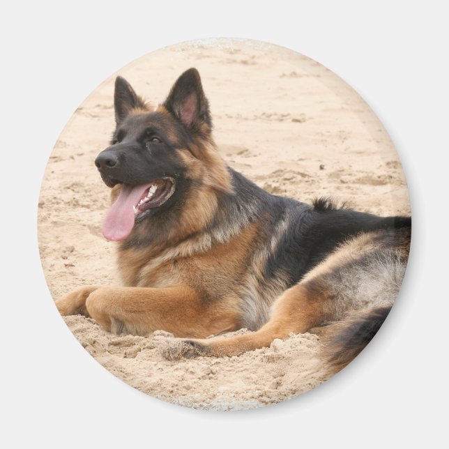 Resting German Shepherd Dog Magnet (Front)