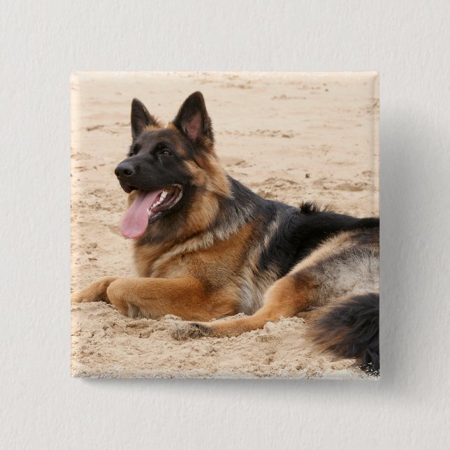 Resting German Shepherd Dog Square Pin (Front)