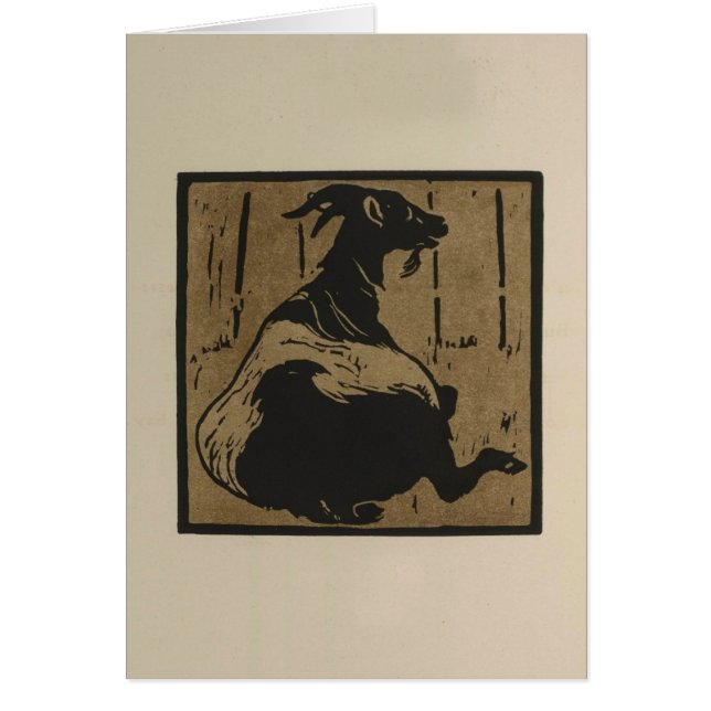 Resting Goat (Front)