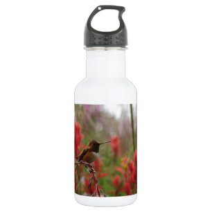 Resting Hummingbird 532 Ml Water Bottle