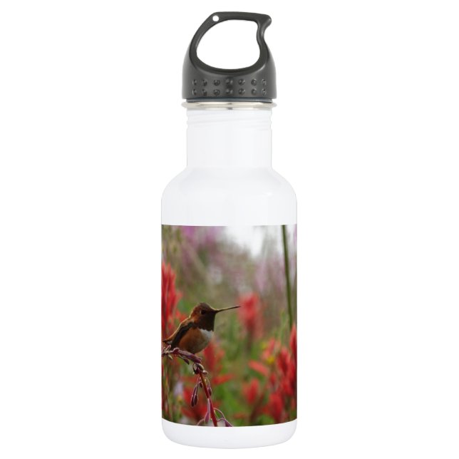 Resting Hummingbird 532 Ml Water Bottle (Front)