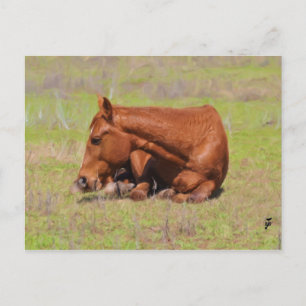 Resting in the Sun Postcard