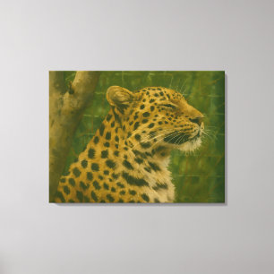 Resting Leopard in Sanctuary Setting Canvas Print