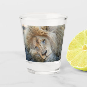 Resting Lion Shot Glass