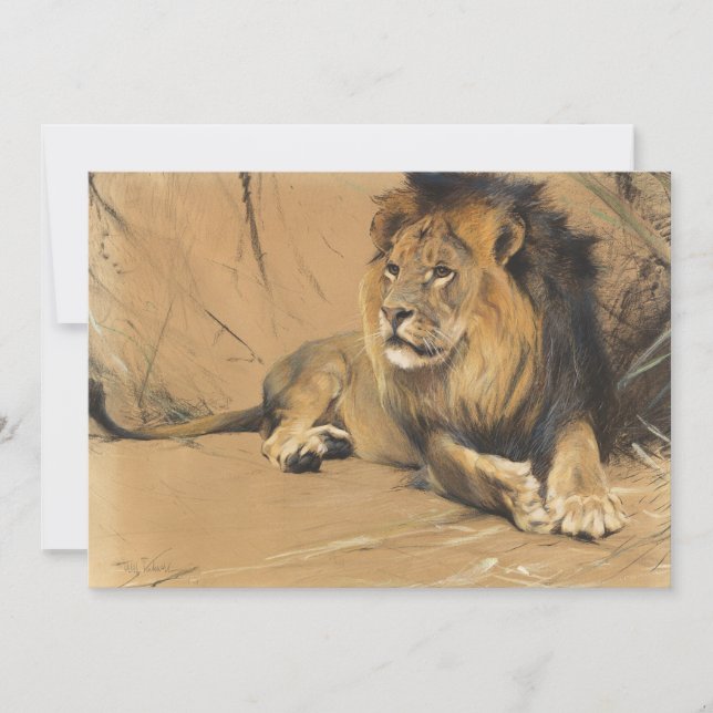 Resting Lion | Wilhelm Kuhnert (Front)