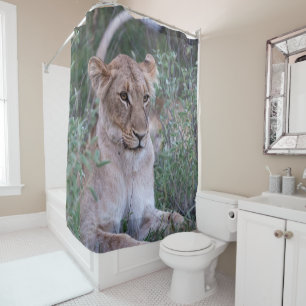 Resting Lioness African Safari Wildlife Photograph Shower Curtain