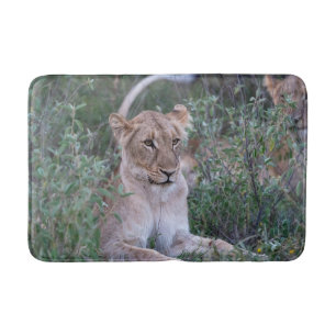 Resting Lioness Wildlife Photography Bath Mat