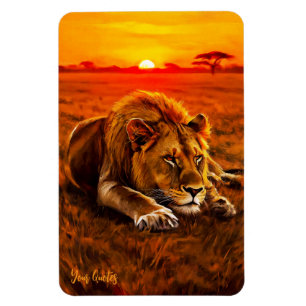Resting Male Lion on Golden Savanna Magnet