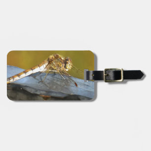 Resting Ochre Brown Dragonfly Realistic Painting Luggage Tag