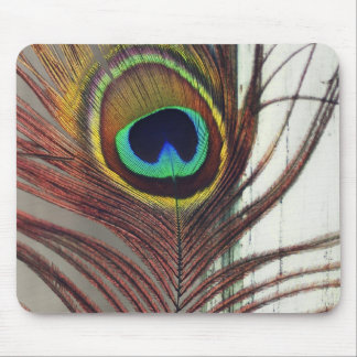 Resting Peacock Feather Mouse Pad