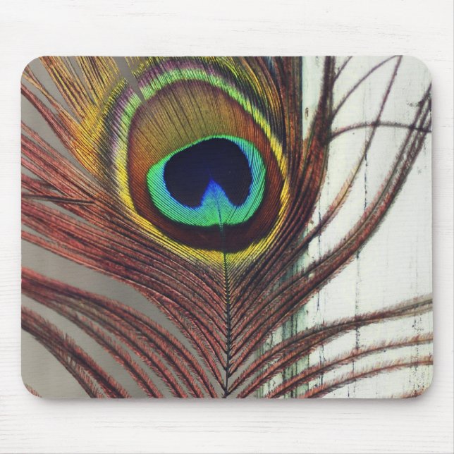 Resting Peacock Feather Mouse Pad (Front)